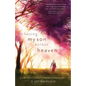Chasing My Son Across Heaven: A Story of Life, Loss and the Strength of Enduring Love - Paperback
