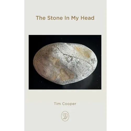 The Stone In My Head - Hardcover