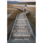 The Meaning of Motherhood: Discovering Joy and Purpose Through Christ in the Everyday Moments of Mom Life - Hardcover