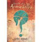 Death at Armadillo: A Paul Seawright Murder Mystery - Paperback