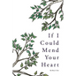 If I Could Mend Your Heart - Paperback