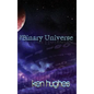 The Binary Universe: A Theory of Time - Hardcover