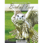 Understanding the Bird of Prey - Paperback