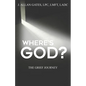 Where's God?: The Grief Journey - Paperback