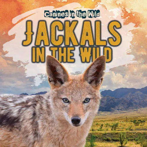 Jackals in the Wild - Library Binding