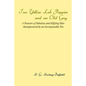 Two Yellow Lab Puppies and an Old Guy: A Treasure of Fabulous and Edifying Tales Manufactured by an Incomparable Trio - Paperback