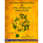 Faery Initiations of The Thirteen Dreamers: A Green Fire Folio - Paperback