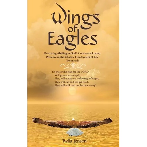 Wings of Eagles: Practicing Abiding in God'S Consistent Loving Presence in the Chaotic Floodwaters of Life (Devotional) - Paperback