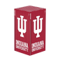 Indiana Hoosiers Xbox VarsityWrapz
