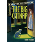 The Big Catnap - Paperback