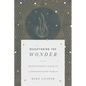 Recapturing the Wonder: Transcendent Faith in a Disenchanted World - Paperback