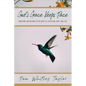 God's Grace Keeps Pace: Embracing Contentment in the Midst of Caregiving, Grief, and Loss - Paperback