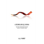 A Second Look @ Joshua - Paperback