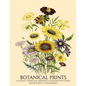 Perpetual Birthday Calendar: Botanical Prints 12 Month Date Book Daily Organizer for Birthdays, Important Dates, Special Days, Anniversaries - Paperback