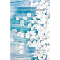 The Salt Before It Shakes - Paperback