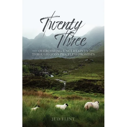 Twenty-Three: Overcoming Uncertainty Through God's Priceless Promises - Paperback