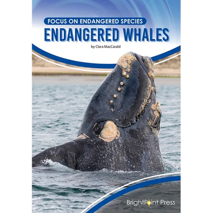 Endangered Whales - Hardcover