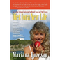 Diet for a New Life: An 8-step Integral Solution to Weight Loss and Well-being - Paperback