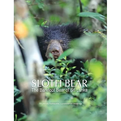 Sloth Bear: The Barefoot Bear of Sri Lanka - Paperback