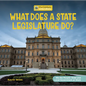 What Does a State Legislature Do? - Library Binding
