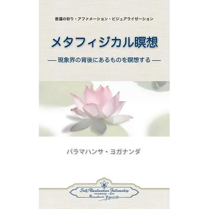 Metaphysical Meditations (Japanese) - Paperback