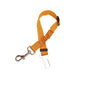 Car Safety Belt Pet Reflective Leash