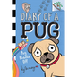 Pug Blasts Off: A Branches Book (Diary of a Pug #1): Volume 1 - Hardcover