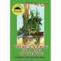 Just So Wild: There's A Frog on a Log in the Bog - Paperback