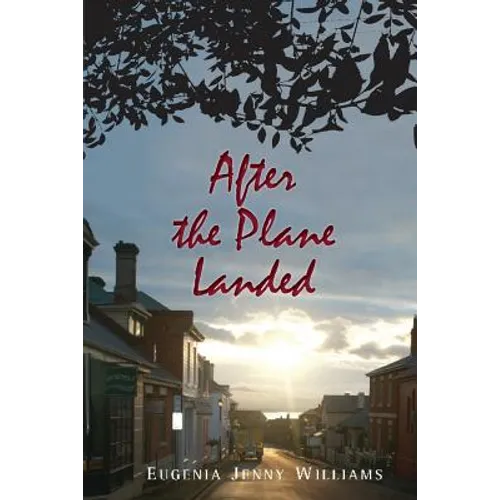 After the Plane Landed - Paperback