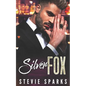 Silver Fox: A One Night Stand, Boss to Lover Valentine's Novella - Paperback