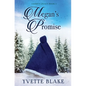 Megan's Promise - Hardcover