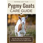 Pygmy Goats Care Guide: Step-by-Step Tips for Beginners to Raise and Care for Pygmy Goats - Paperback