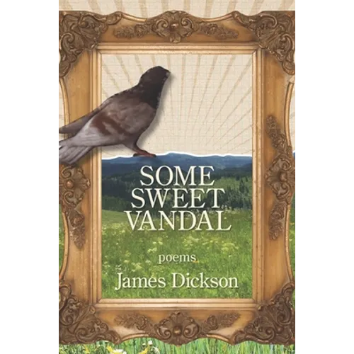 Some Sweet Vandal - Paperback
