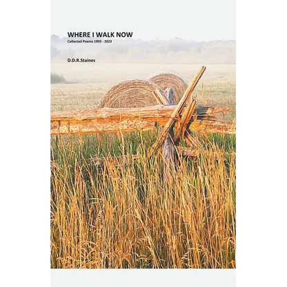 Where I Walk Now - Paperback