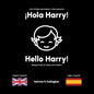 Hola Harry: First words in English and Spanish - Paperback