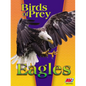 Eagles - Paperback