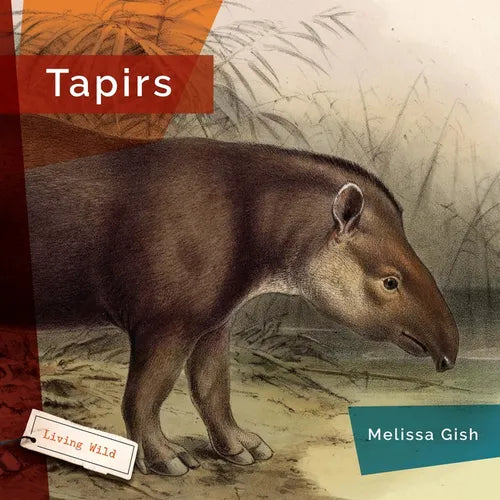 Tapirs - Hardcover