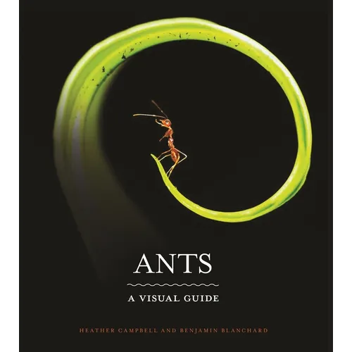 Ants: A Visual Guide - Hardcover