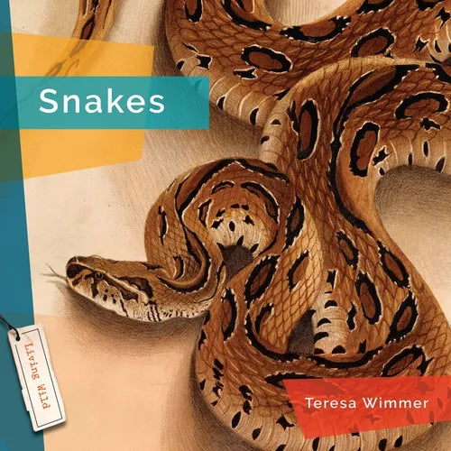 Snakes - Library Binding
