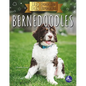 Bernedoodles - Hardcover