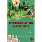 Mysteries of the Magic Well - Paperback