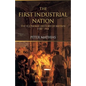 The First Industrial Nation: The Economic History of Britain 1700-1914 - Paperback