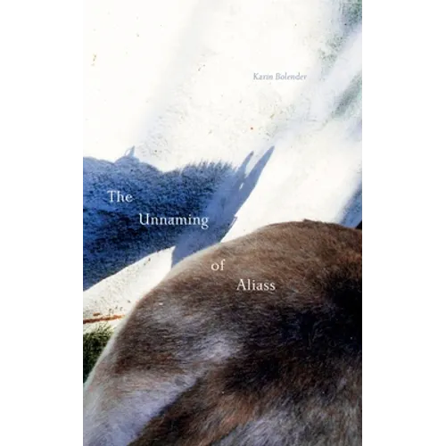 The Unnaming of Aliass - Paperback