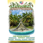 Natural Intelligence: The Technology of Peace - Paperback