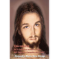 Docenario de la infinita misericordia del Sagrado Corazón de Jesús - Paperback