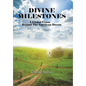 Divine Milestones: A Global Vision Beyond the American Dream - Hardcover