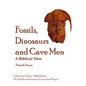 Fossils, Dinosaurs and Cave Men - Paperback