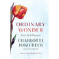 Ordinary Wonder: Zen Life and Practice - Paperback