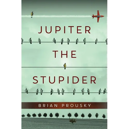 Jupiter the Stupider - Paperback