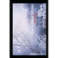 The Coldest Winter - Paperback